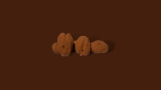 Chocolade pecan truffels