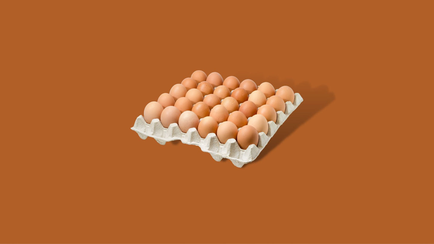 Eieren Maat M 30 stuks