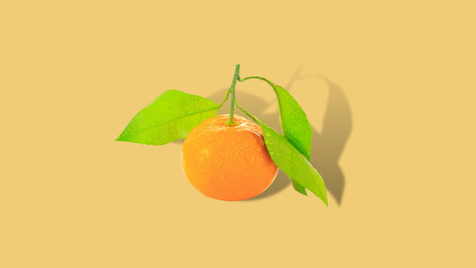 Satsuma Mandarijnen