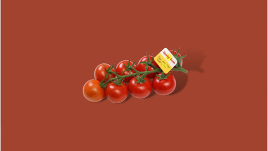 Tasty tom tomaten