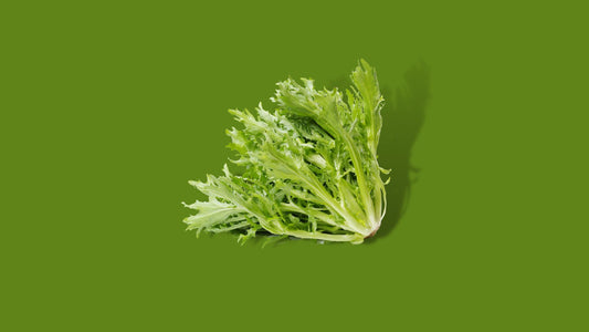 Krulandijvie (Frisee)